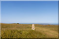 Trig Point on Willingdon Hill in BN20 8SN
