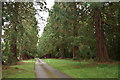 Avenue on the driveway of Yeldall Manor in RG10 8AW