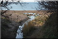 Stream percolating into Chesil Beach in DT3 4JY