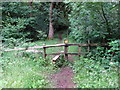 Llwybr glanafon / Riverside path in SA9 2UR
