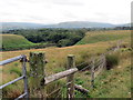 Ffens ffin derfyn / Field boundary fence in SA9 2QL