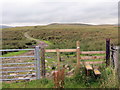 Mynediad i'r mynydd / Access to moorland in SA9 2XY