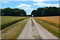 Dunkirt Lane, looking toward Dunkirt Barn in Anna Ward
