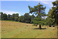 Footpath to Broomy Downs in RH5 6PX