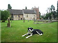 Dog at St. Peter & St. Paul Church (Eastham) in WR15 8NW