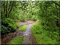 Path through Outwood Country Park in M26 1DZ