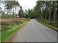 Tree-lined road approaching the A97 at Muirparks in AB34 5PZ
