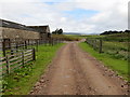 Farm Track at Milton of Whitehouse in AB34 5PT