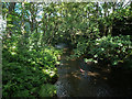 The River Don downstream from the Leapings Lane footbridge, Thurlstone in S36 9RL