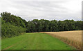 Footpath on wide arable field margin, Noak Hill in RM3 7LR