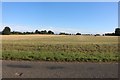Field by Norwich Road, East Tuddenham in NR9 5BA