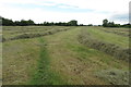 Footpath through the hay field in MK18 3JZ
