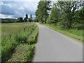 Fence and tree-lined minor road near to Kildhu in Glen Tanar in AB34 5EU