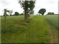 Diamond Jubilee Permissive Footpath in NG25 0SX