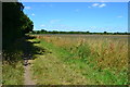Footpath on the edge of RSPB Winterbourne Downs in SP4 0BS