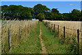 Path between fields north of Allington in SP4 0BB