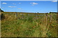 Gate into wildflower meadow, RSPB Winterbourne Downs in SP4 0BB