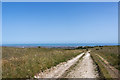 View of the South Downs Way near Fox Holes in BN20 8SN