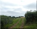Field access south of Chericombehead  in TQ13 9PT