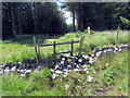 Mynedfa i Goedwigoedd Giedd / Access to Giedd Forest in SA9 1XU