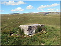 Carreg Fawr ar Gefn Mawr / A large boulder on Cefn Mawr in SA9 1NQ