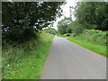 Road beside High Stand Plantation approaching Stone Raise in CA4 9SY
