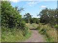 Public Bridleway Near Lysdon Farm in NE26 4PX