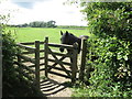 Kissing Gate Near Lysdon Farm in NE24 4HA