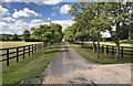 Driveway to Waldergrove Farm in GU30 7JS
