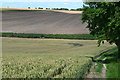 Field edge path descending into valley beside railway embankment in SP4 0JN