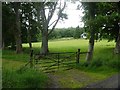 Field gate at Torhill in PH2 9DJ