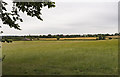 Fields near Little Gringley in East Retford East Ward