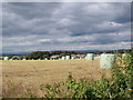 Hay field on the edge of Waterfoot in G76 0ET