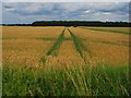 Tractor lines in a field of wheat in DN5 7ST