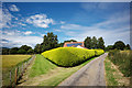 Hedge on the road to Coulnagower Farm in IV7 8HU