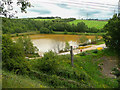Brown pond, Bullhouse, Millhouse Green in S36 9NF