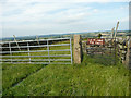 Gate on the footpath from Hartcliff Road to Cross Lane, Thurlstone in S36 9SB