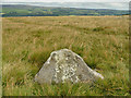 Marked rock on Ilkley Moor in LS29 9QZ