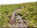 Path crossing a stream near Grainings Head in LS29 9SW