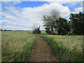Bridleway nearing the end of the field in PE8 5RJ