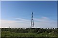 Pylon by Mattishall Road, Brandon Parva in Brandon Parva, Coston, Runhall and Welborne