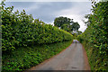 Nempnett Thrubwell : Country Lane in BS40 8DS