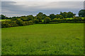 Nempnett Thrubwell : Grassy Field in BS40 8DS