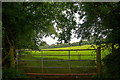 Winford : Grassy Field & Gate in BS40 8HB
