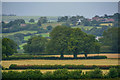 Winford : Countryside Scenery in BS40 8BU