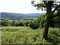 View to Bath from Brown's Folly Nature Reserve in BA1 7SA