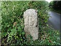 Old Boundary Marker in PL14 3HZ