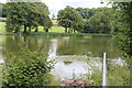 Ty Mawr Pool, Llanfrynach in LD3 7AQ