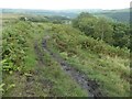 Public footpath above Broadhead Clough nature reserve in HX7 5TB