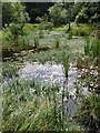 Wildlife Pond in EH47 0AD